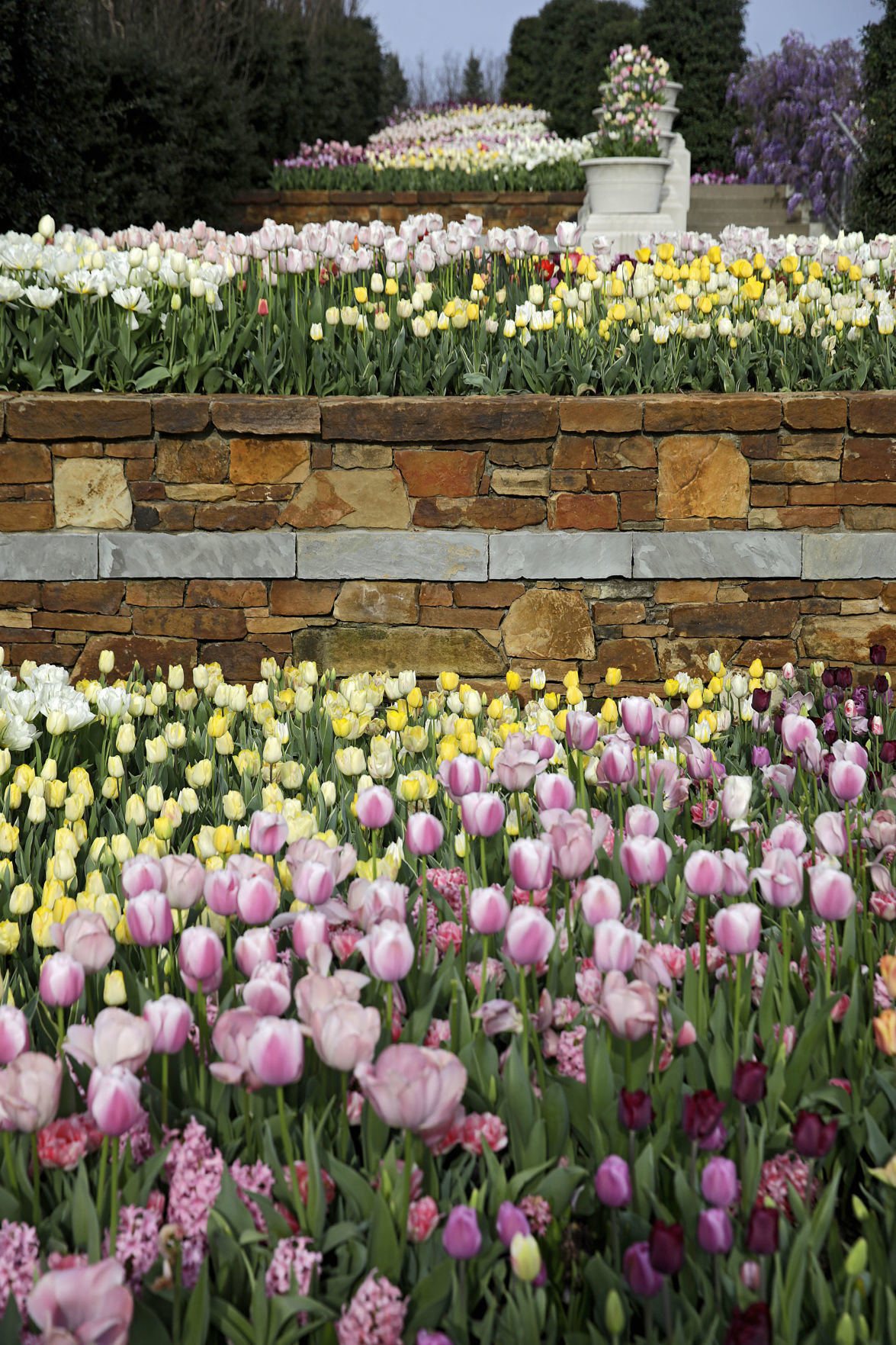 Tulsa Botanic Garden